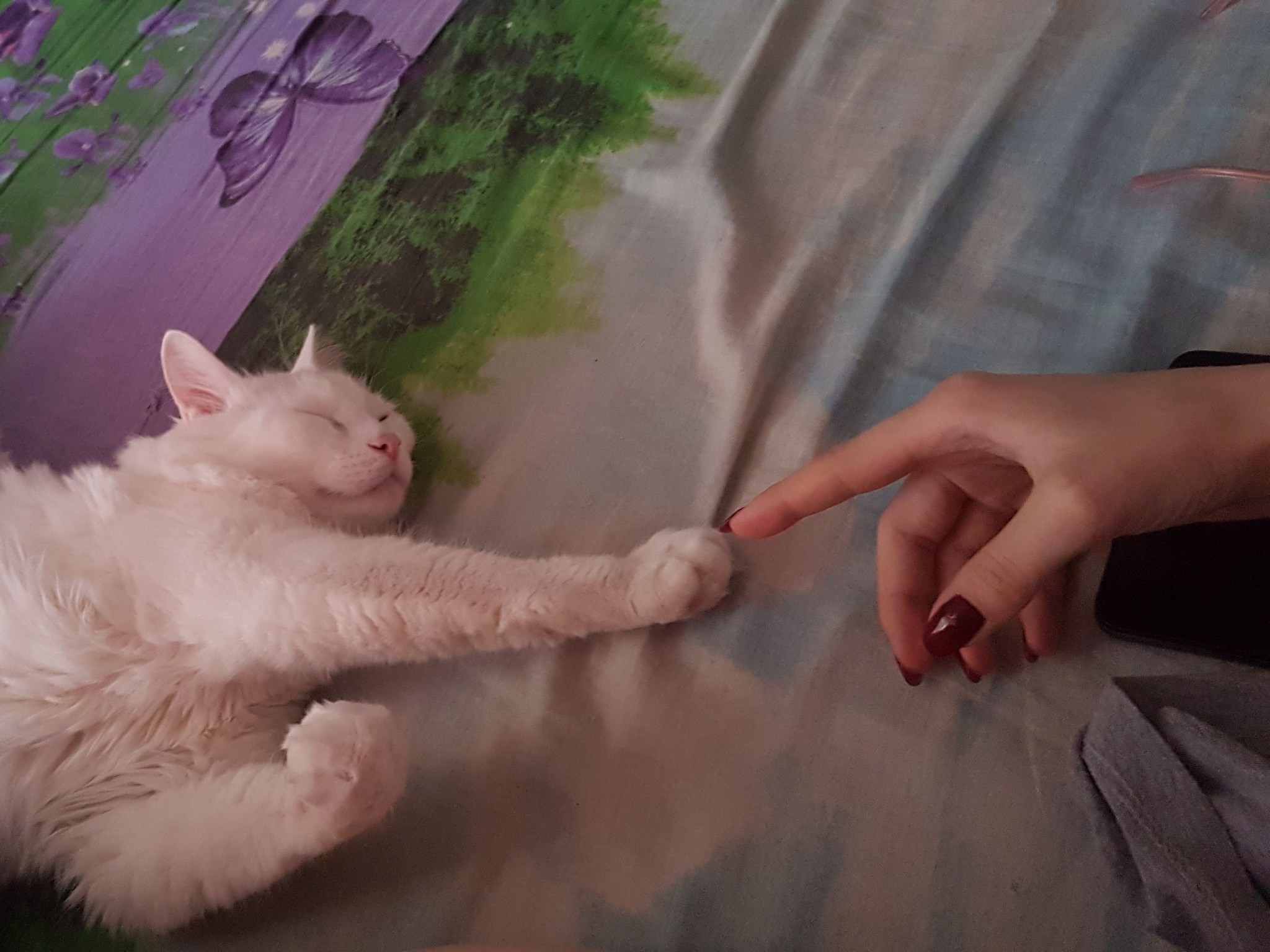 Creation of a cat - My, cat, Creation of Adam, Animals