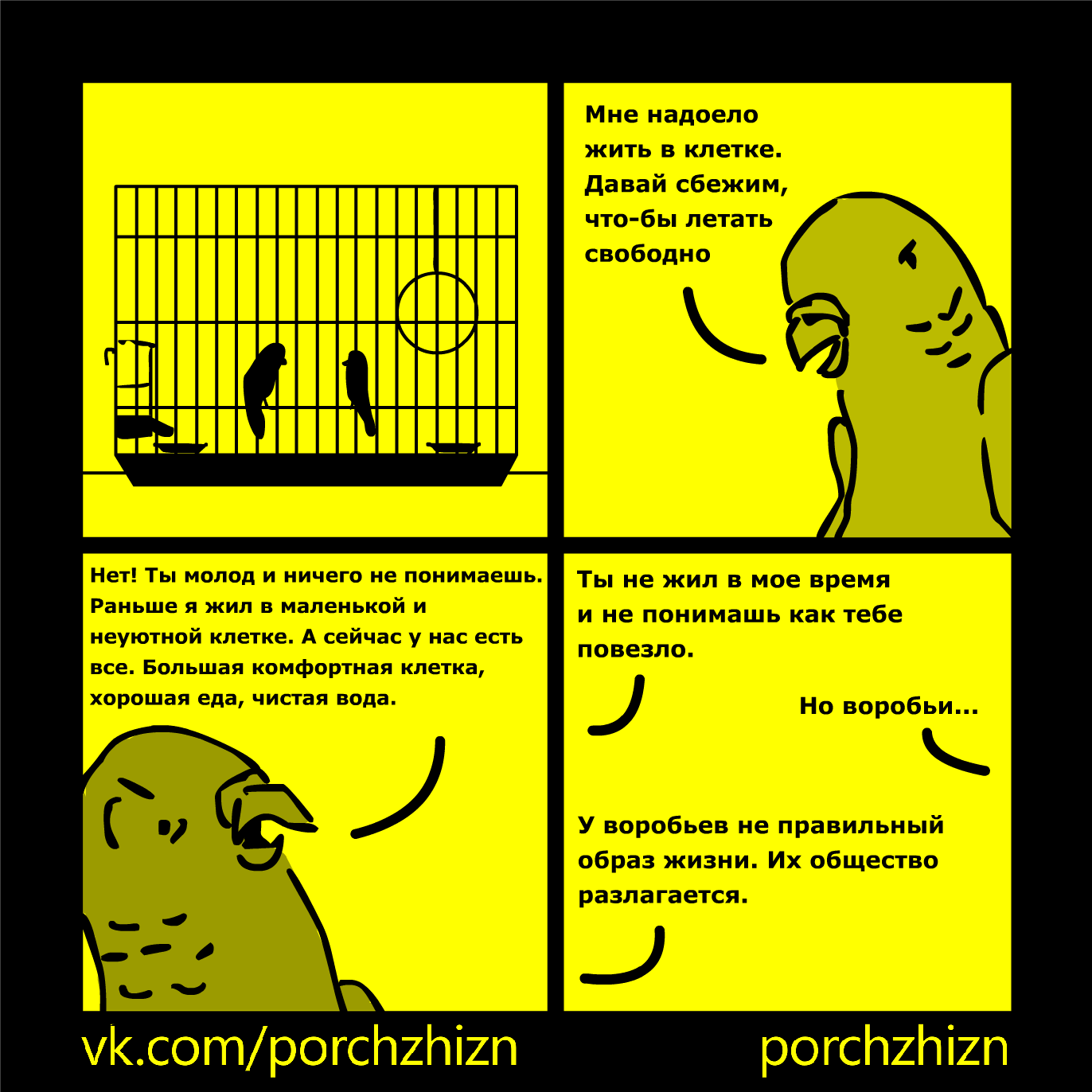 In a cage - My, Porchzhizn, A parrot