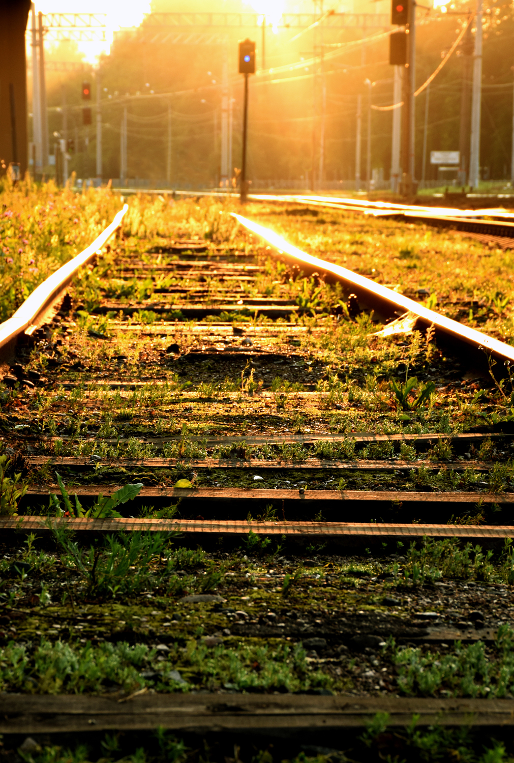 In the morning - My, The photo, Nikon, Railway, Beginning photographer, Longpost