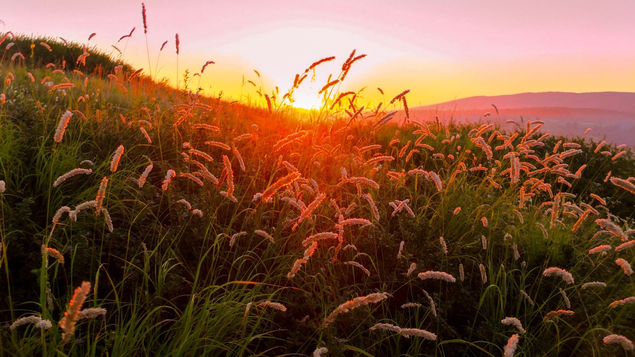 Asha. Fabulous dawn on the barracks ridge. - My, The photo, Travels, Southern Urals, Chelyabinsk region, beauty of nature, Longpost