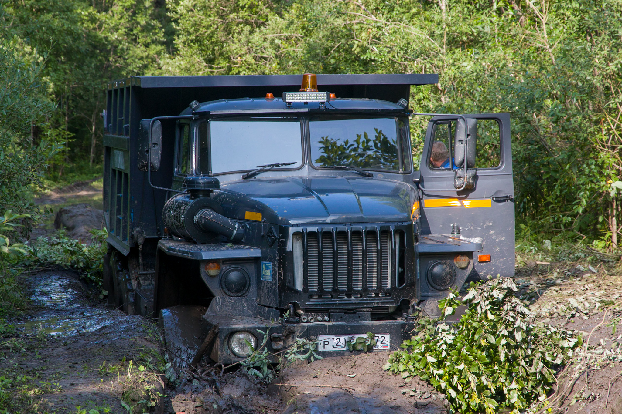 Path to Light. - My, Off road, SUV, Offroad, Swamp Walker, K-700, Ural, Lake, Nature, Longpost, Offroad