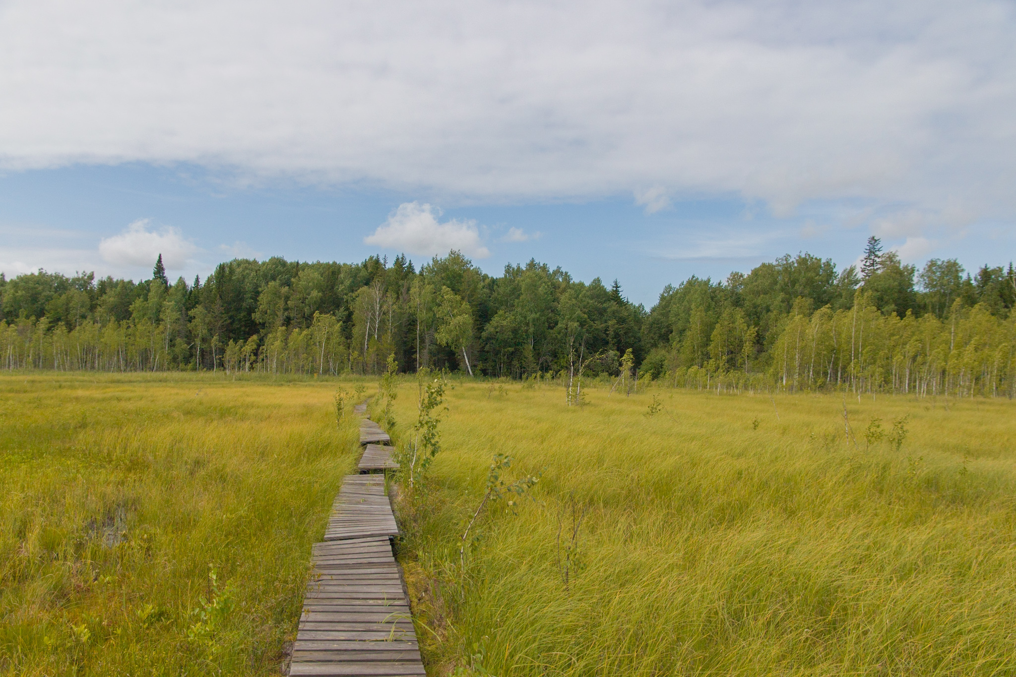 Path to Light. - My, Off road, SUV, Offroad, Swamp Walker, K-700, Ural, Lake, Nature, Longpost, Offroad