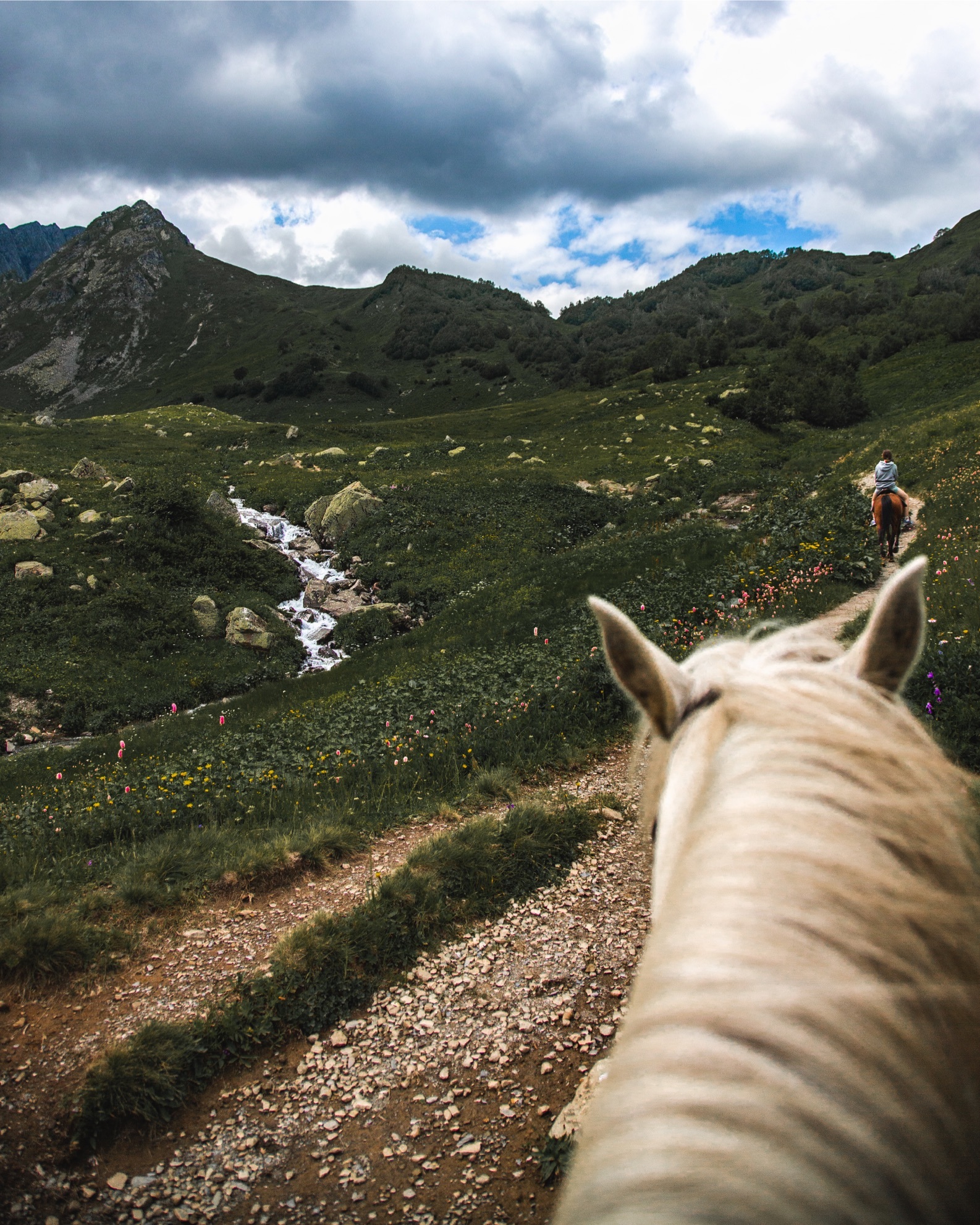 Abkhazia. Summer 2019. - My, The photo, Beginning photographer, Abkhazia, The mountains, Canon, Landscape, Longpost