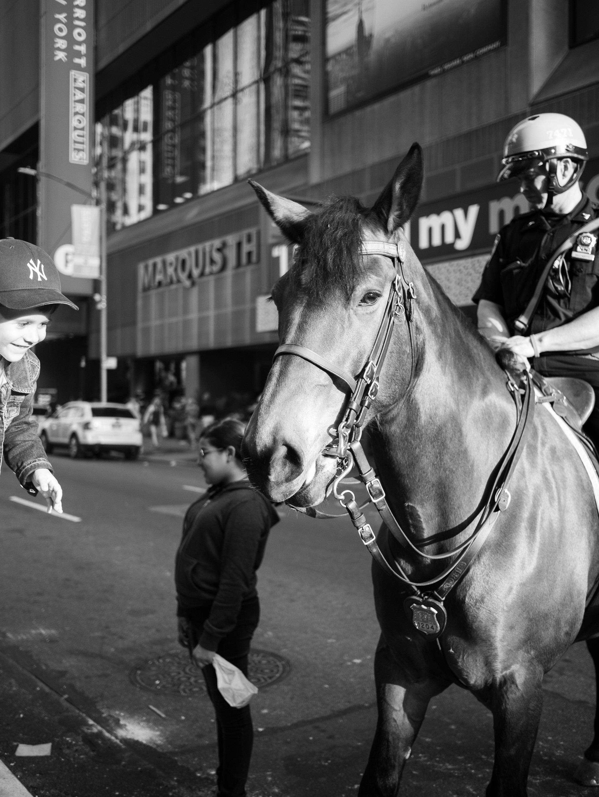 Конный полицейский, Нью-Йорк - Моё, Streetphoto, Фотография, Длиннопост, Уличная фотография