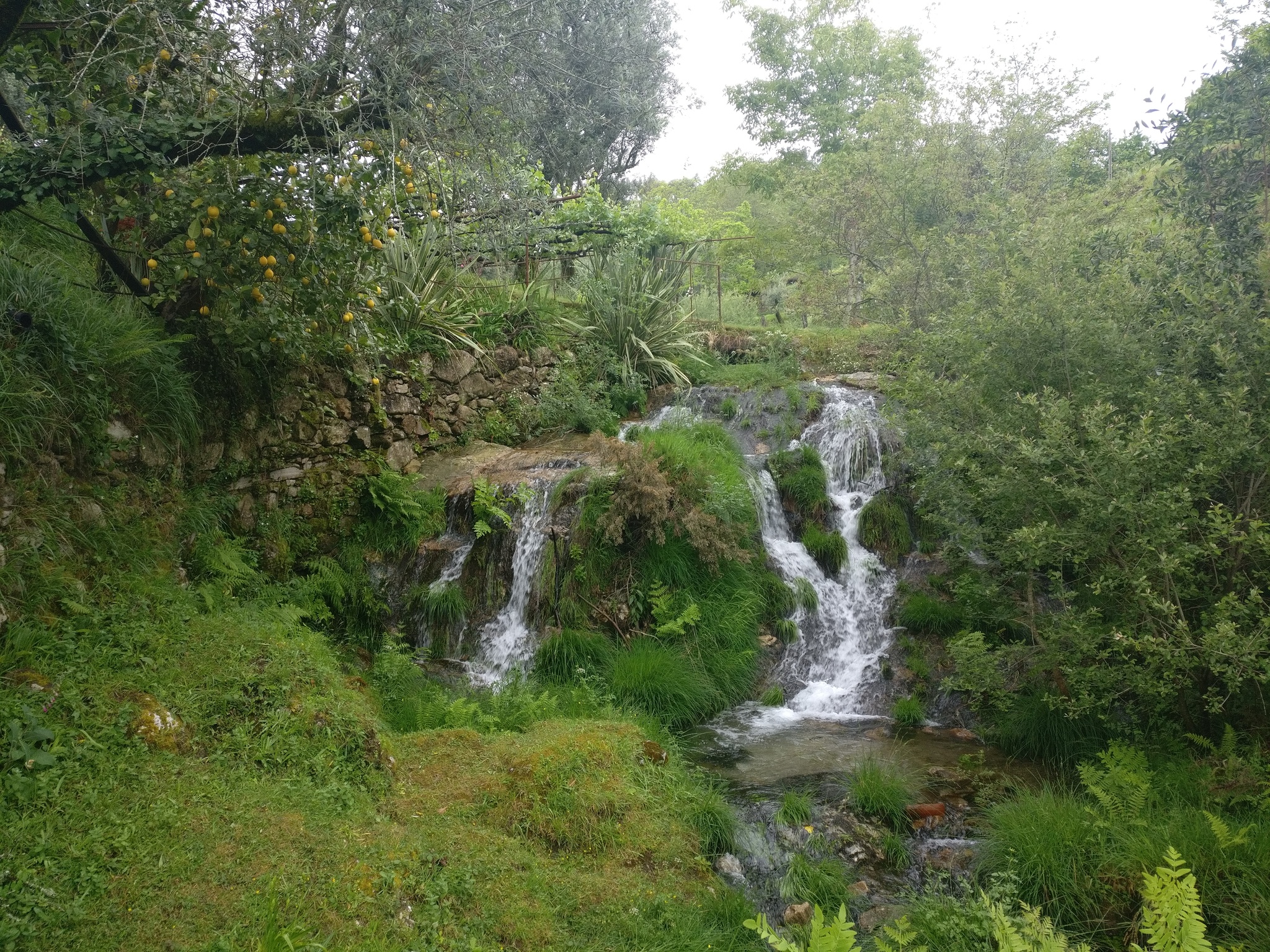 Way of Santiago. Day 4. How I spent one of the best days or the Camino Phenomenon. - My, SrГјkzakompomiru, Travels, Spain, Portugal, Longpost, Santiago's Way, El camino