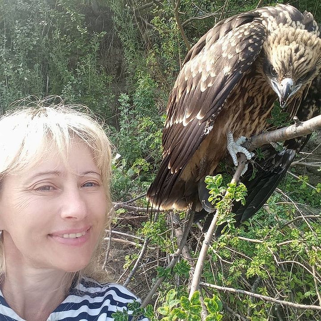 He's like a child! - Novosibirsk, Kite, Kindness, Longpost