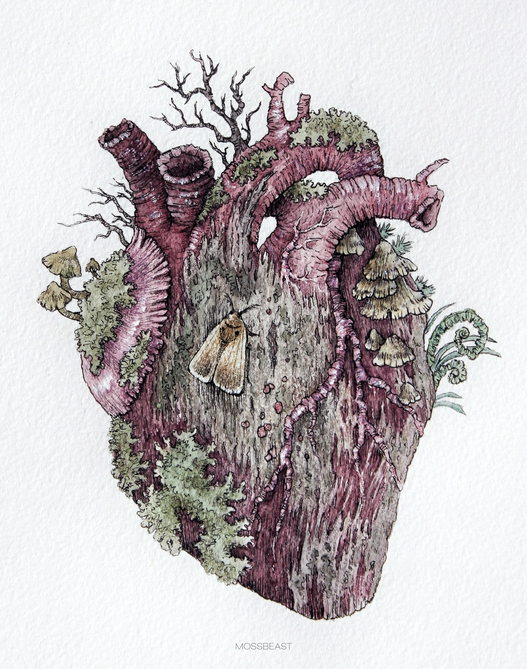 A series of paintings Inner Forest - My, Forest, Watercolor, Moss, Organs, Longpost, , Drawing