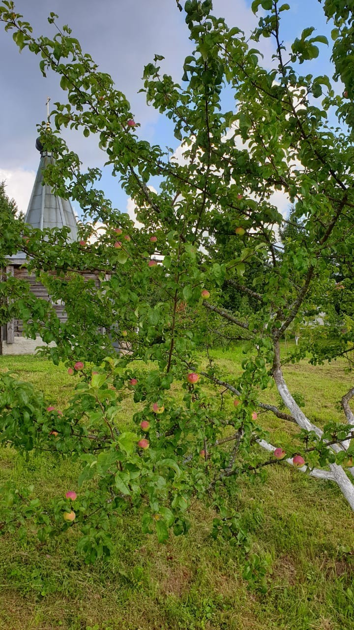 Probably the best day of the summer - My, Monastery, Smolensk region, Church, Nature, beauty, , Longpost