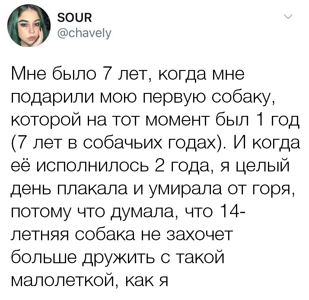 Первая собака - Twitter, Собака, Возраст