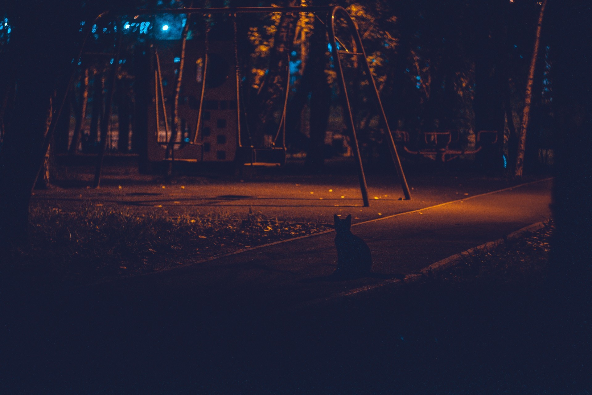 Night walk - Fujifilm X T20, The photo, Longpost, Fujifilm