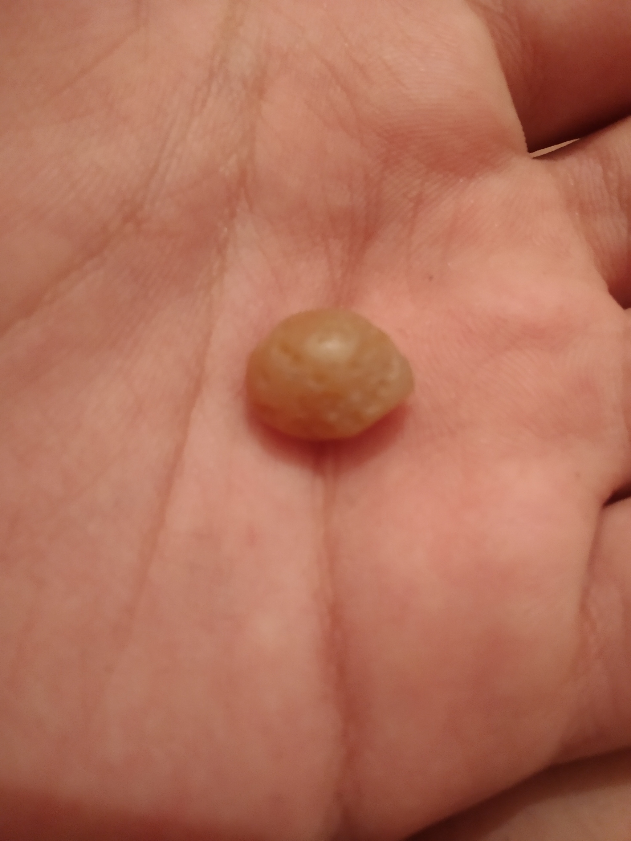 Found an unusual stone! - My, A rock, Jewelry, Mineralogy, Longpost