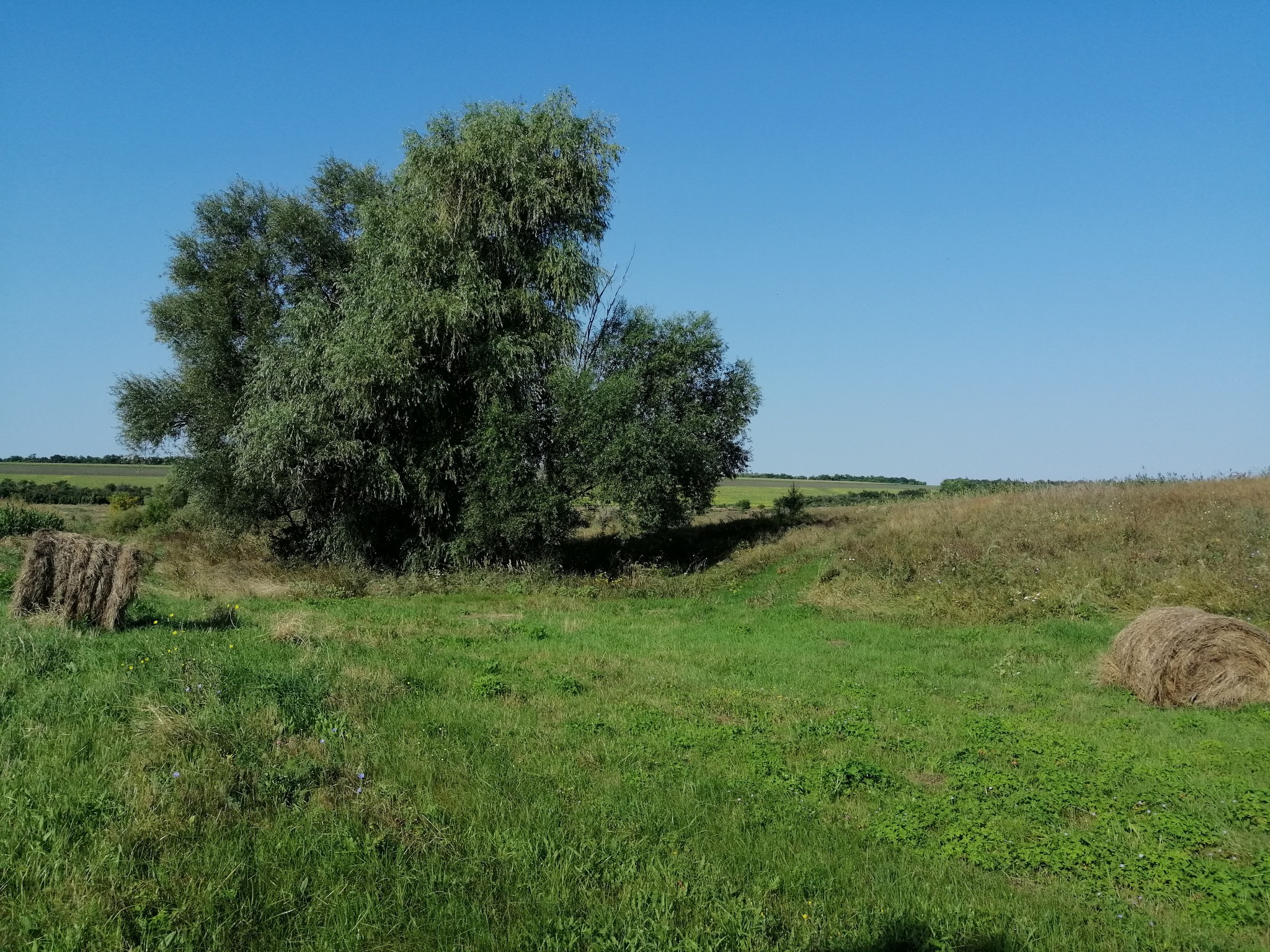 Heading Village hour on the Pikabu channel))) - My, Сельское хозяйство, The photo, Longpost