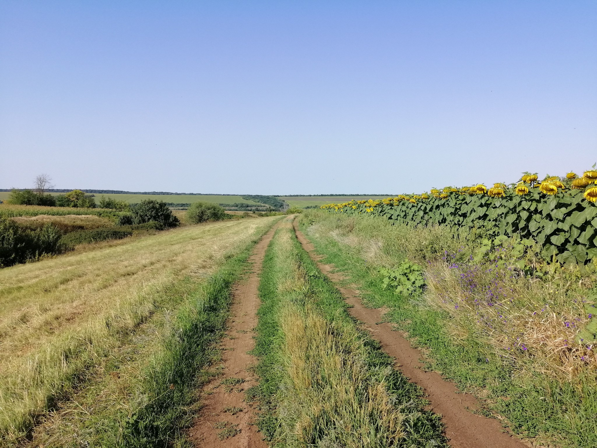 Heading Village hour on the Pikabu channel))) - My, Сельское хозяйство, The photo, Longpost