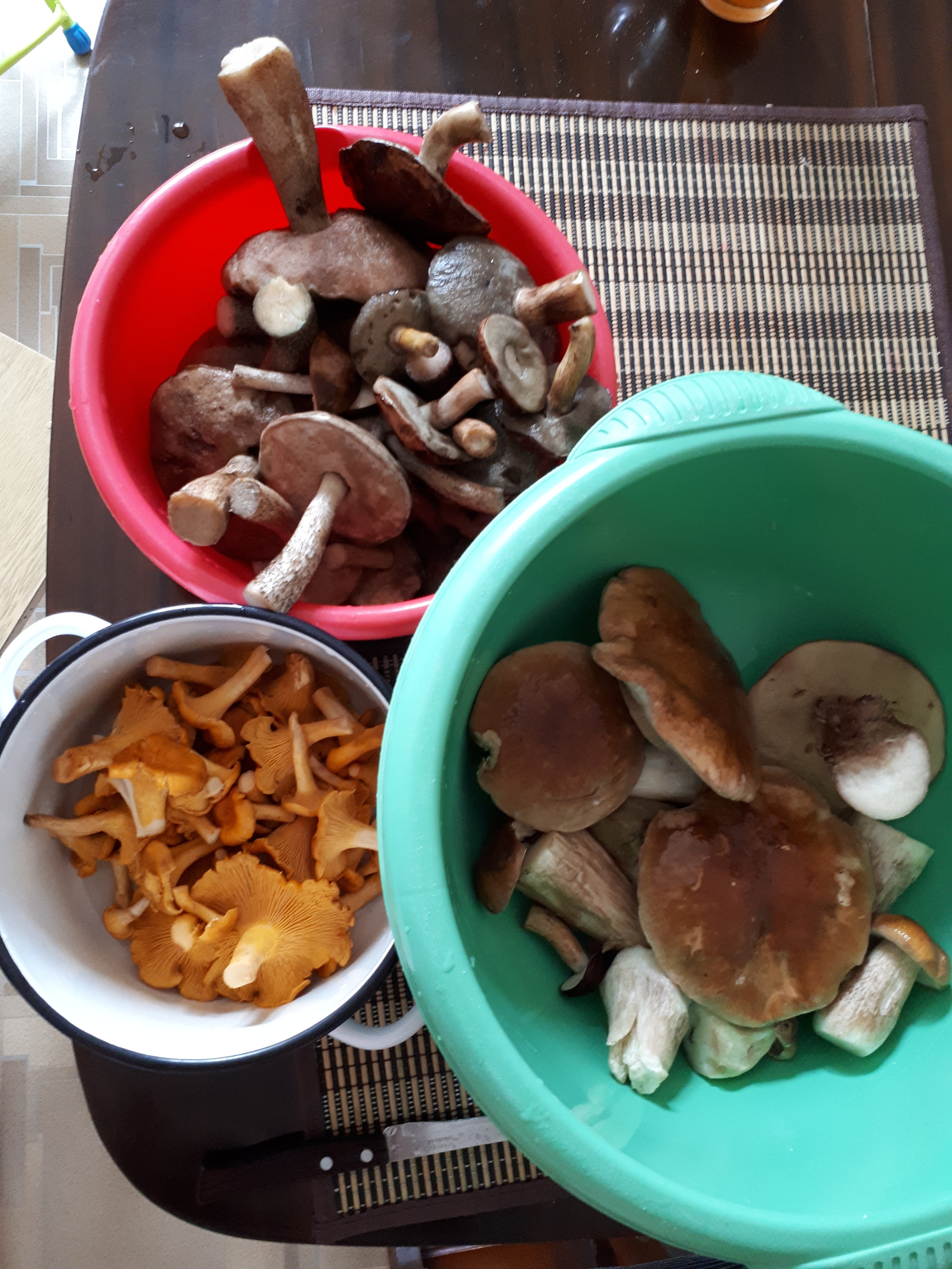 Forest thirst - My, Silent hunt, Forest, Mushrooms, Balashikha, Mushroom pickers, Longpost