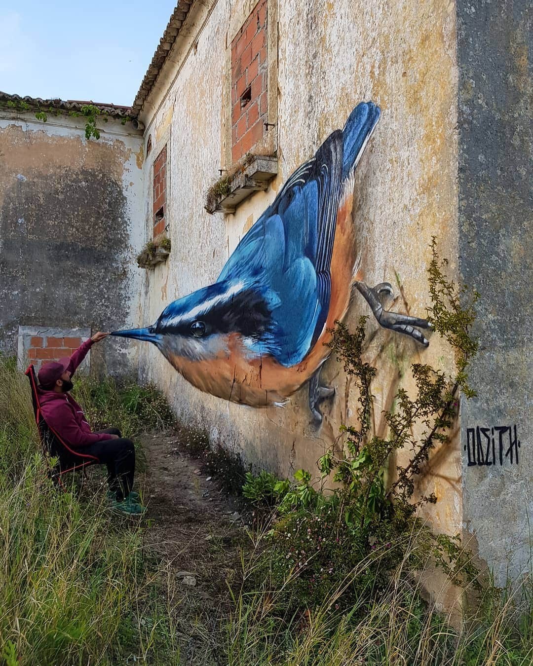 Portuguese artist Sergio Odate creates incredible 3d graffiti - Graffiti, Street art, Realism, Longpost