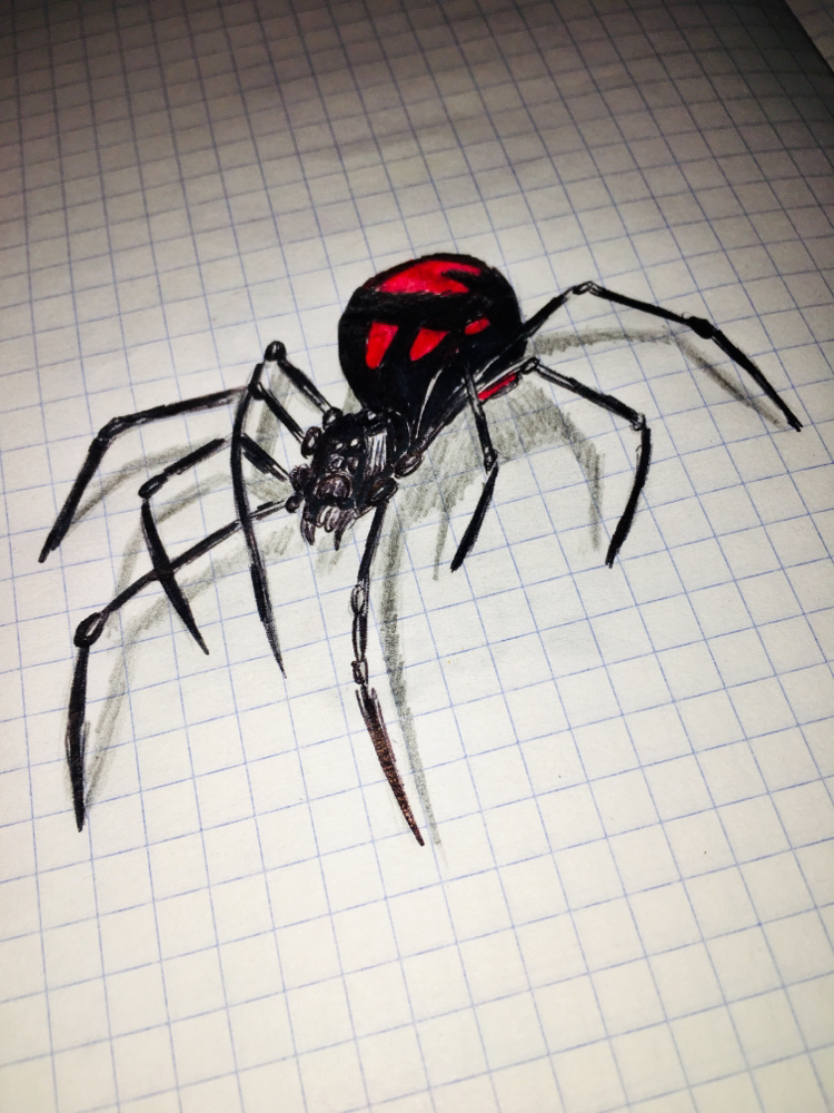 Something like 3d :) - My, Drawing, Spider