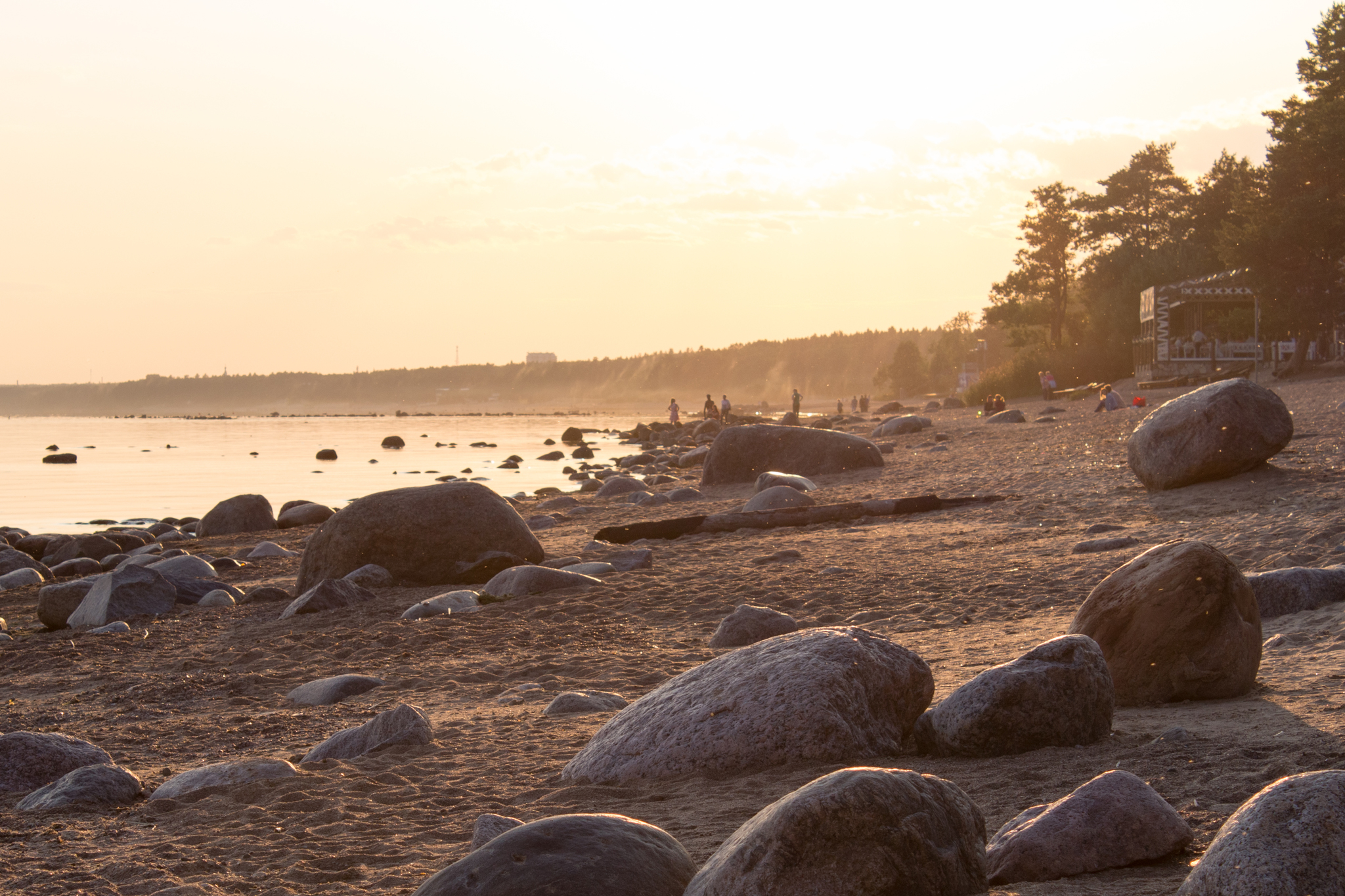 The Gulf of Finland - My, The Gulf of Finland, The photo, Birds, Seagulls, Sunset