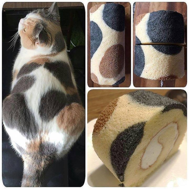 Которулет | Пикабу