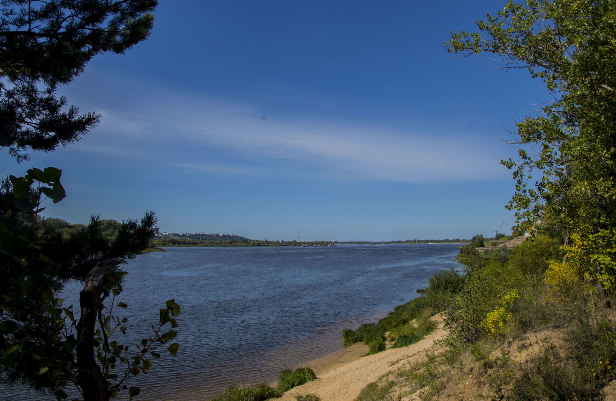 Random pictures of one day - My, The photo, Creation, Summer, Nature, River, Volga river, Beach, Forest, Longpost