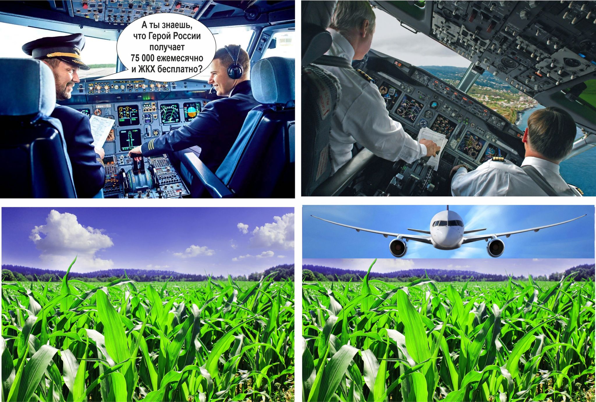 Steep dive - Aviation, Humor, Corn, Comics