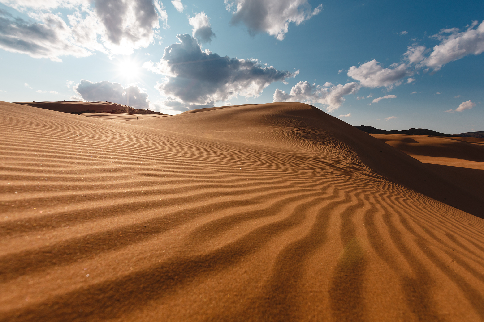 Diversity of Mongolia - My, Mongolia, Altai, Nature, Landscape, The mountains, Desert, Travels, Photographer, Longpost, Altai Republic