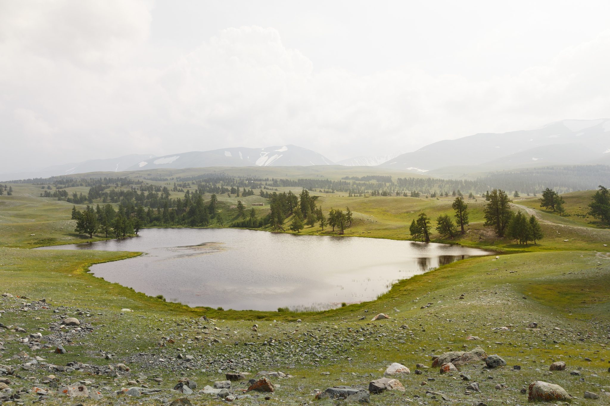 Diversity of Mongolia - My, Mongolia, Altai, Nature, Landscape, The mountains, Desert, Travels, Photographer, Longpost, Altai Republic