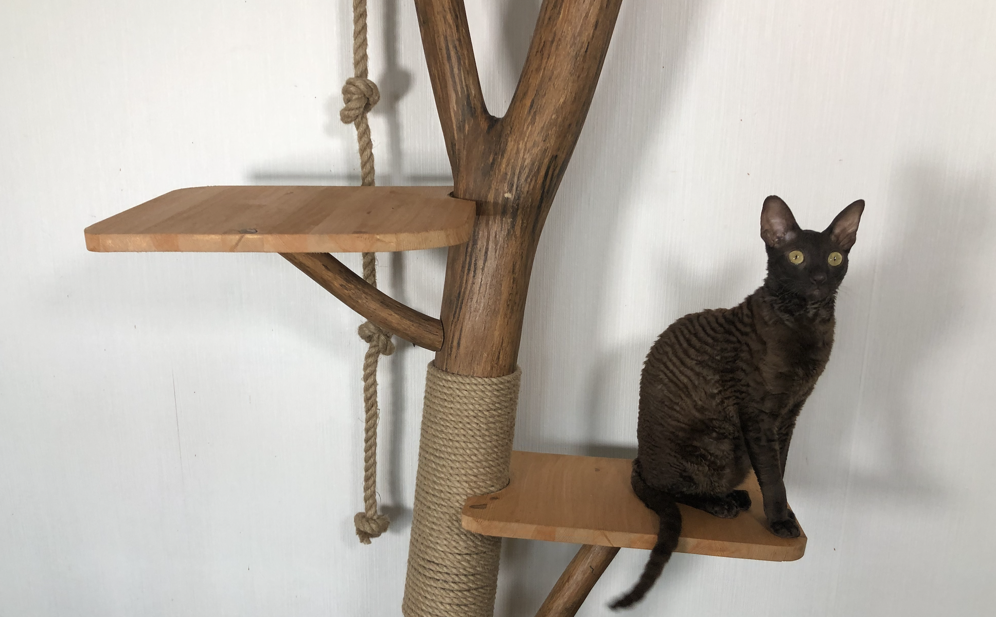 Домик-дерево для кота своими руками | Пикабу