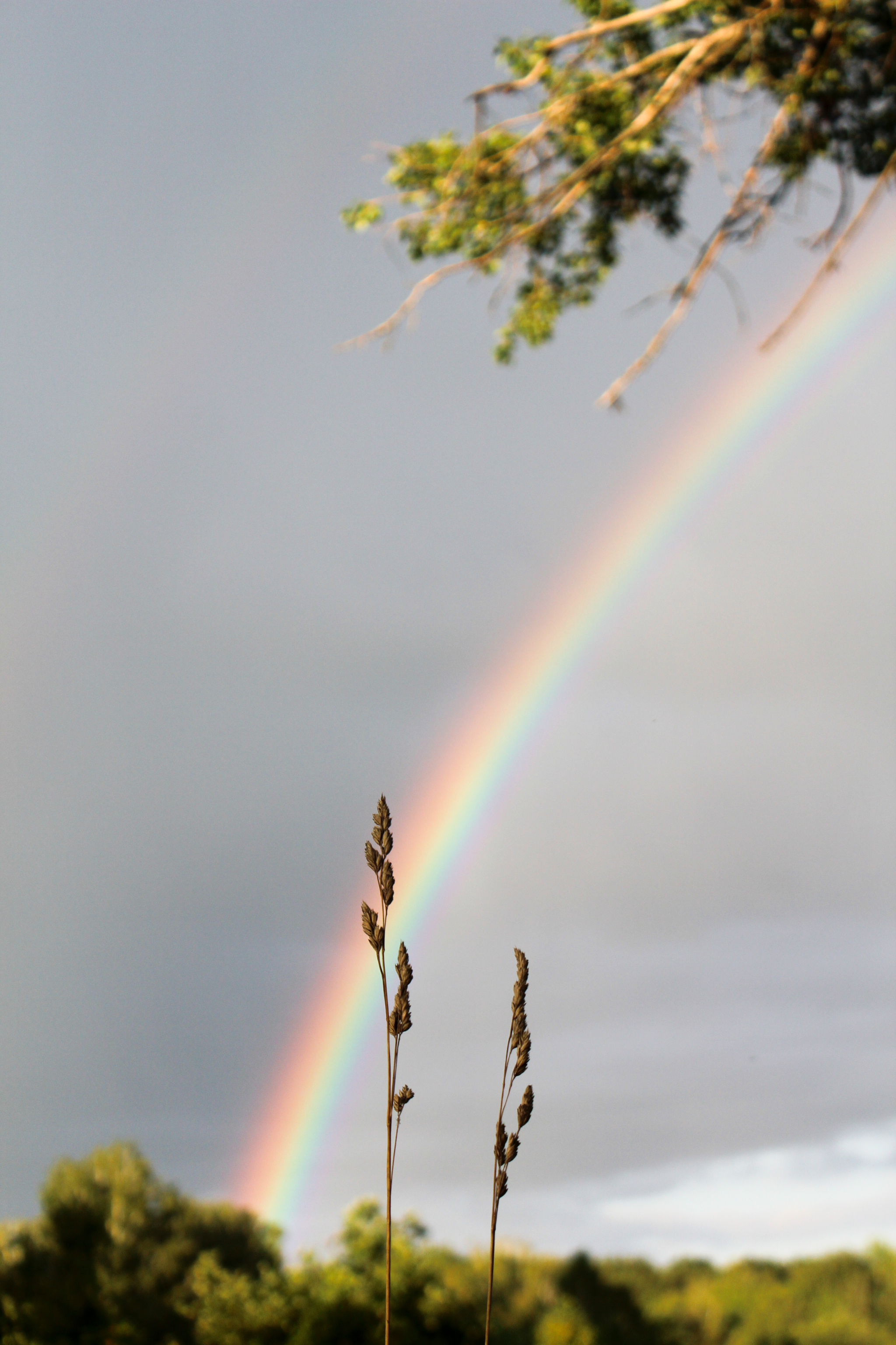 Rainbow - My, The photo, Rainbow, I want criticism