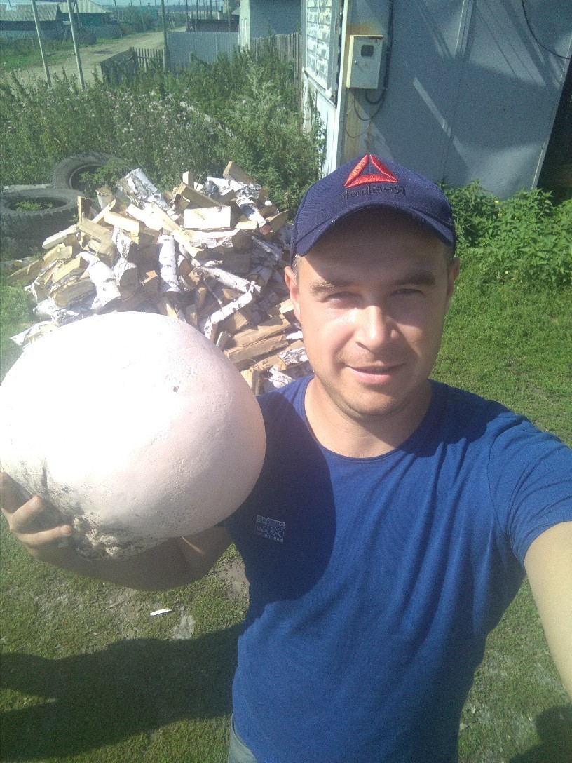 A resident of the Chelyabinsk region filed a complaint with the police about the theft of a huge mushroom. - Mushrooms, Theft, Police