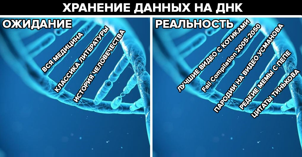 About dogmas in biology - My, The science, Biology, Molecular biology, DNA, Protein, Introduction, Longpost