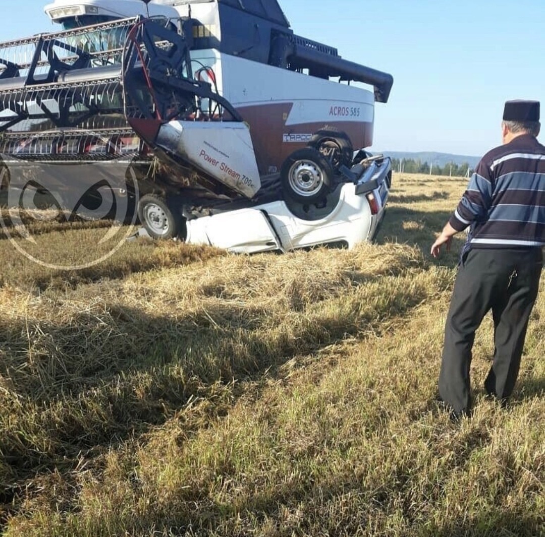 Походу кто - то обделался) - Юмор, Прикол