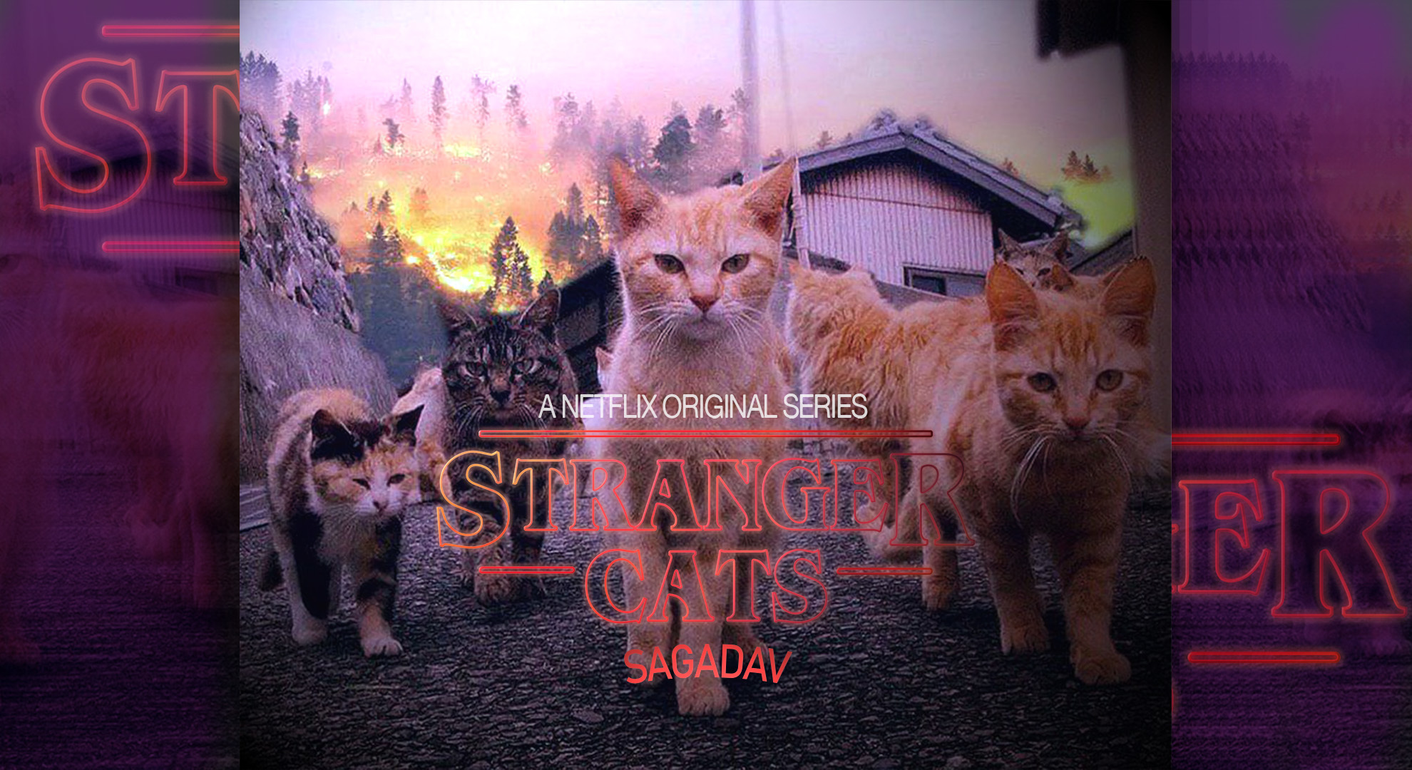 Stranger Cats. Финальная версия. + обои. - Моё, Очень странные дела, Кот, Netflix, Обработка, Длиннопост, Сериал Очень странные дела