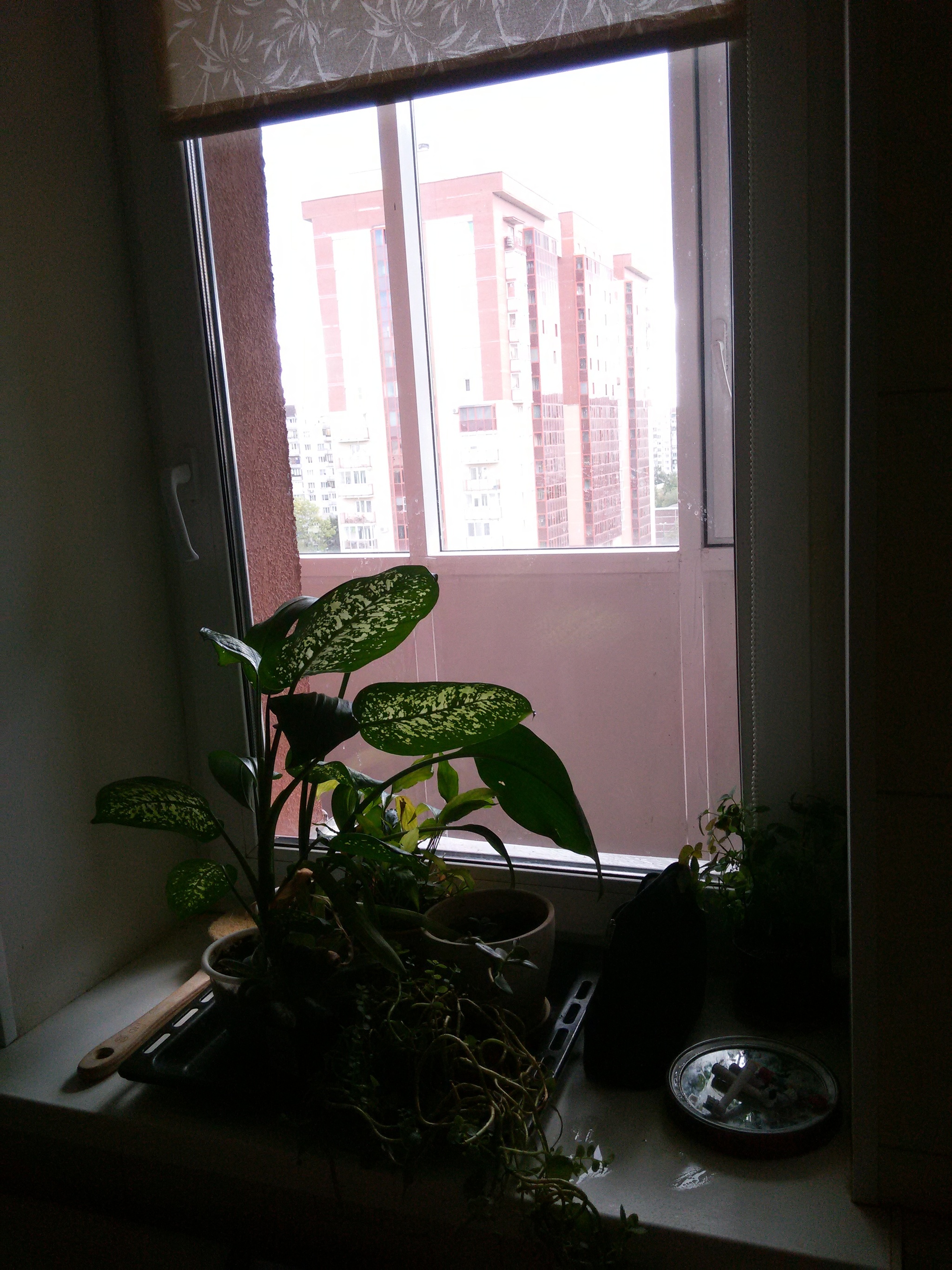 Window - My, Apartment, Bathroom, Window, Project, Longpost