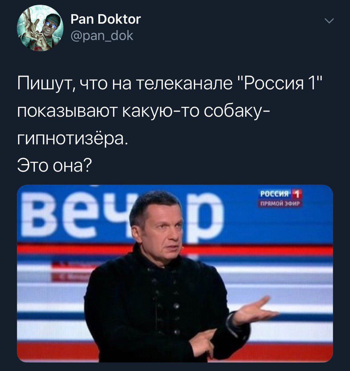 Ну почти - Twitter, Владимир Соловьев, Собака, Гипноз, Юмор