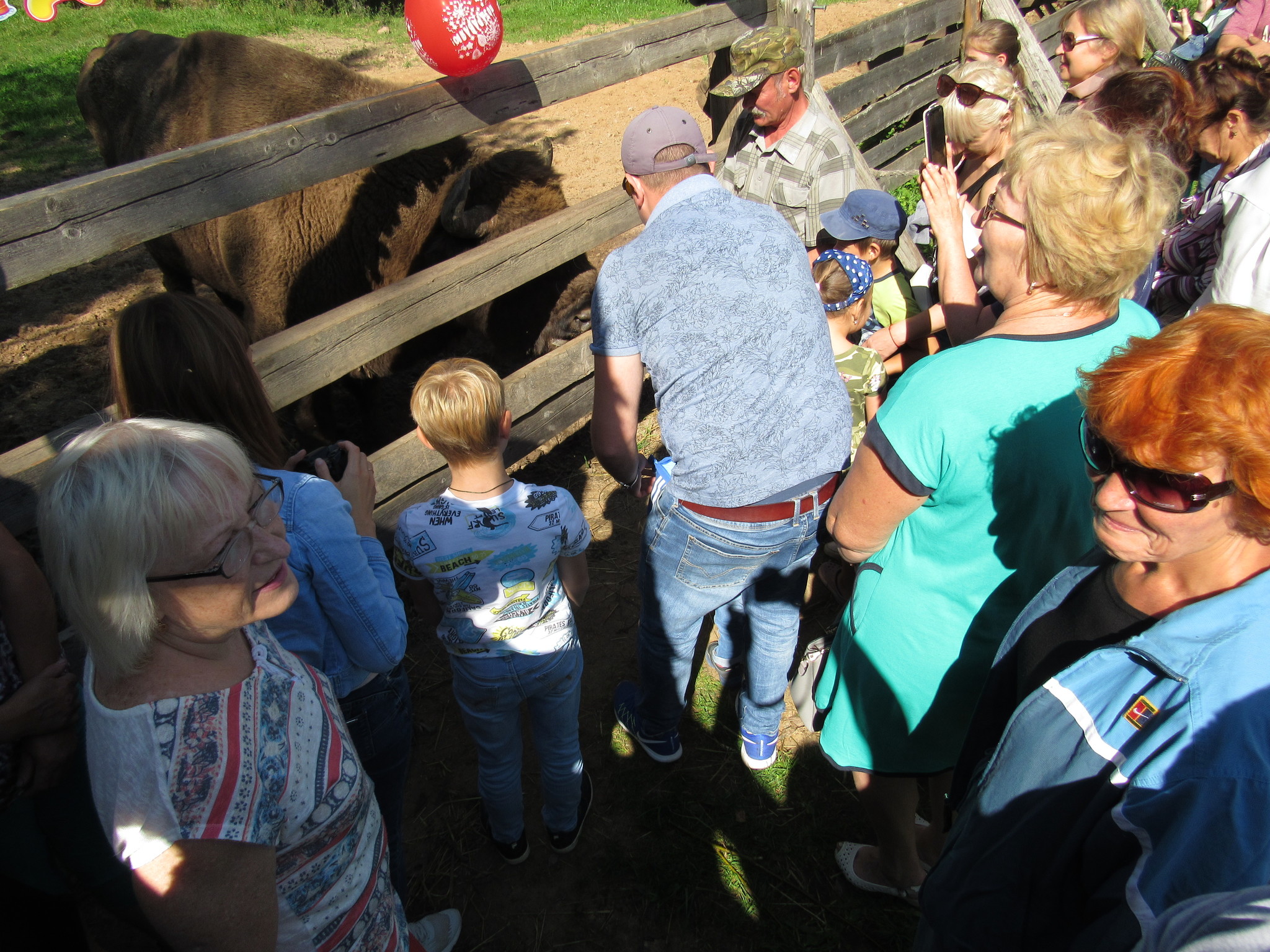 Who came to Yarik's birthday - Yaroslav, Bison, Animals, Holidays, Birthday, Longpost