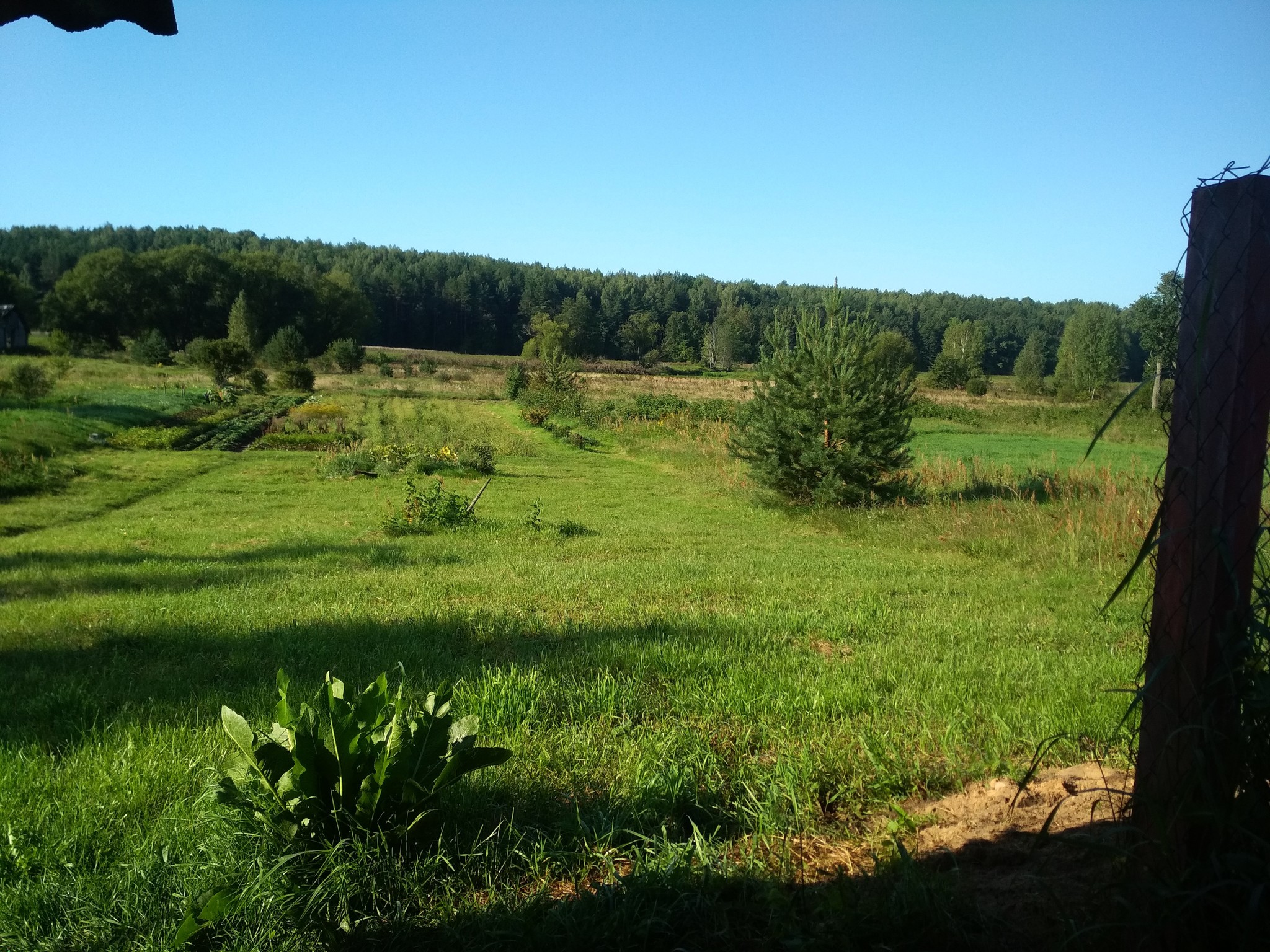 Morning - Morning, Landscape, Drink, Longpost