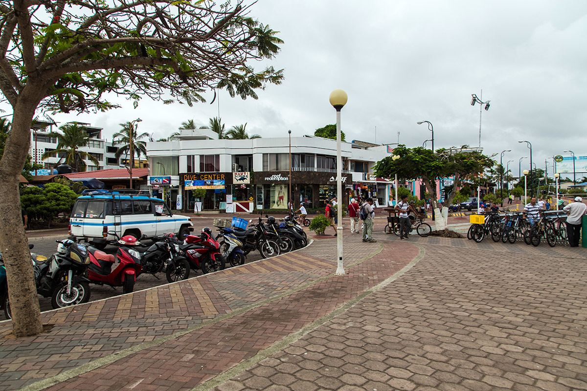 Galapagos. - My, Galapagos Islands, Ecuador, Sea, Travels, Longpost