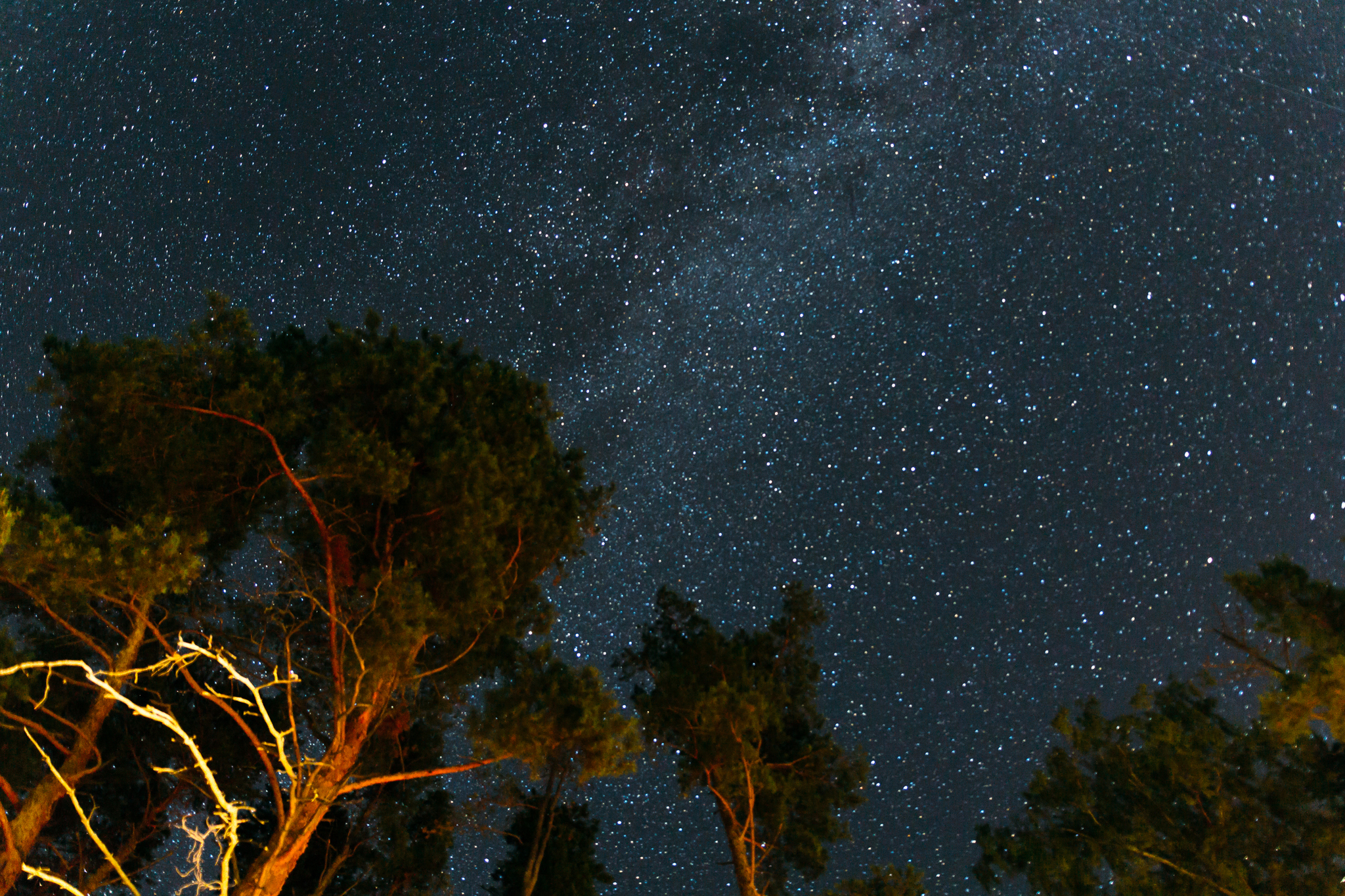 Stars - 2018. Woe-sea - My, Astrophoto, Space, Night, Stars, Nature, Stars