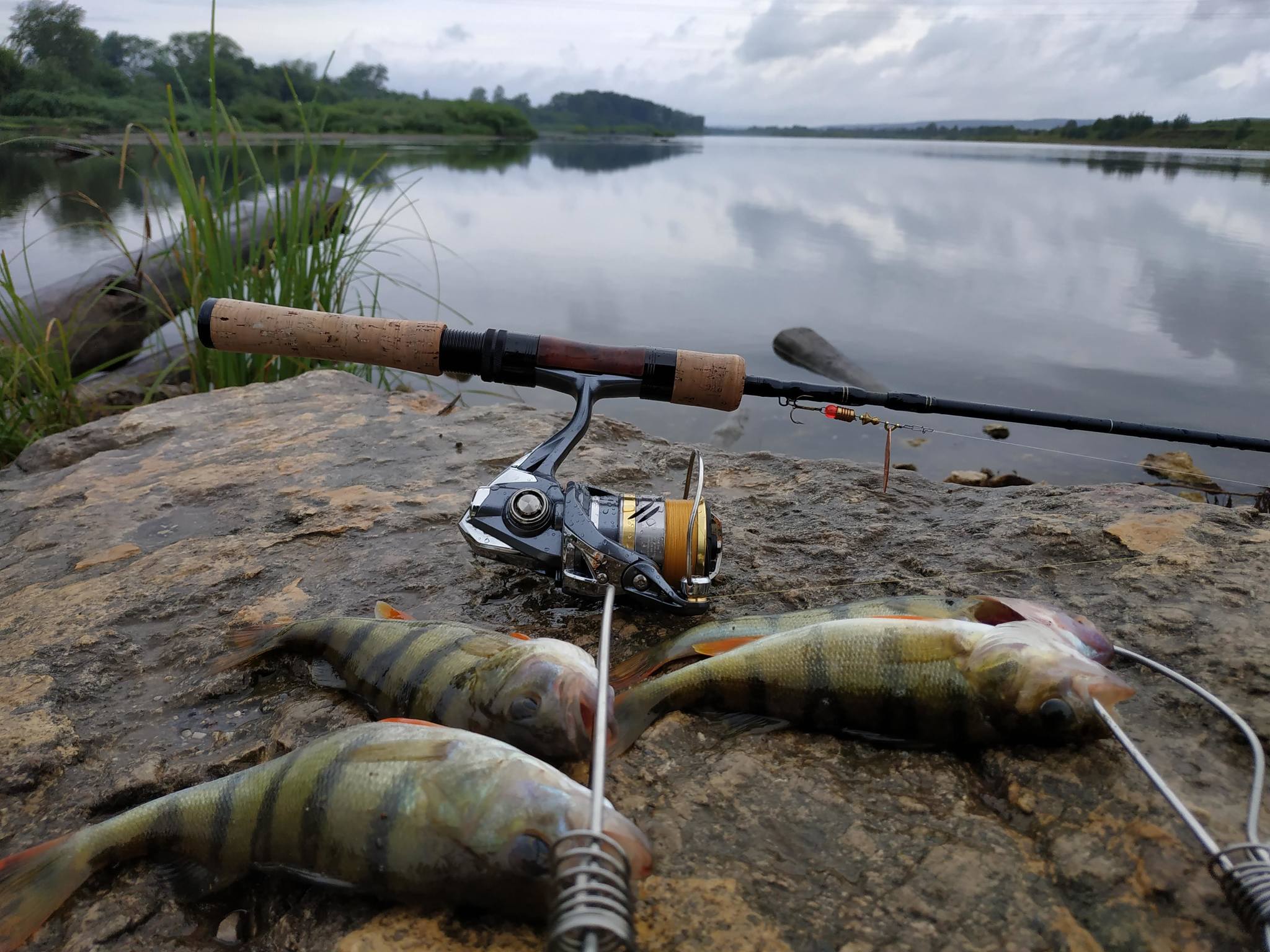 Chusovaya river. - My, Fishing, Spinning, Chub, Perch, Ultralight, River, Nature, Ural, Video, Longpost