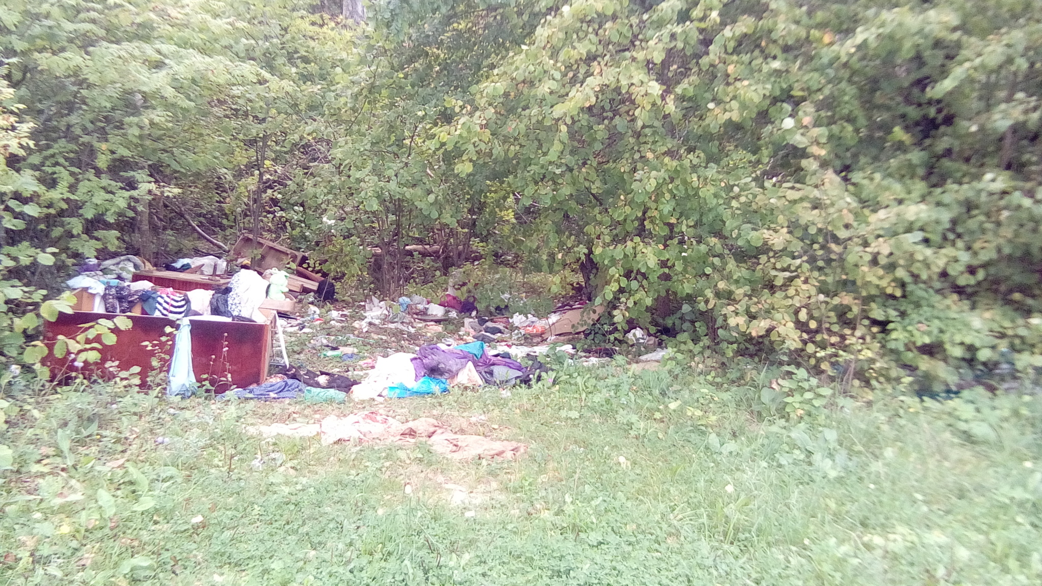 How long..? - My, Garbage, Ecology, Disgusting, Nature