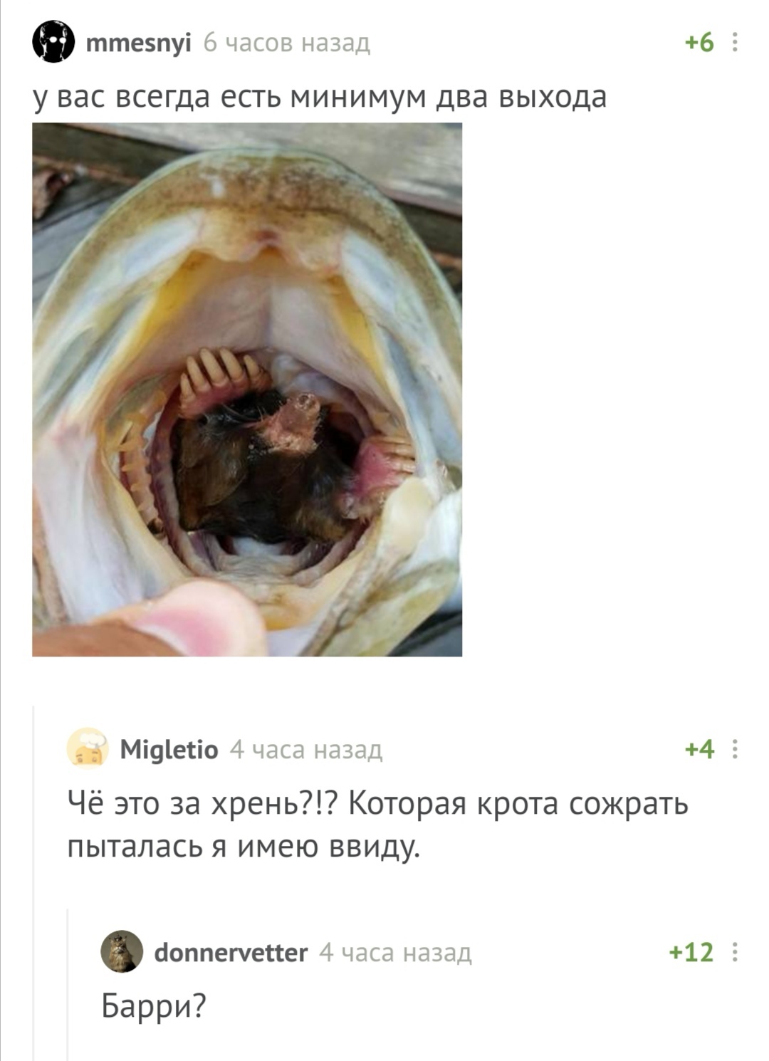 Mole - Comments, Screenshot, Bari Alibasov