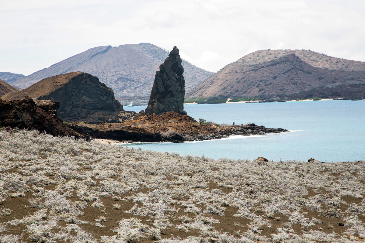 Galapagos. - My, Galapagos Islands, Sea, Snorkeling, Travels, Longpost