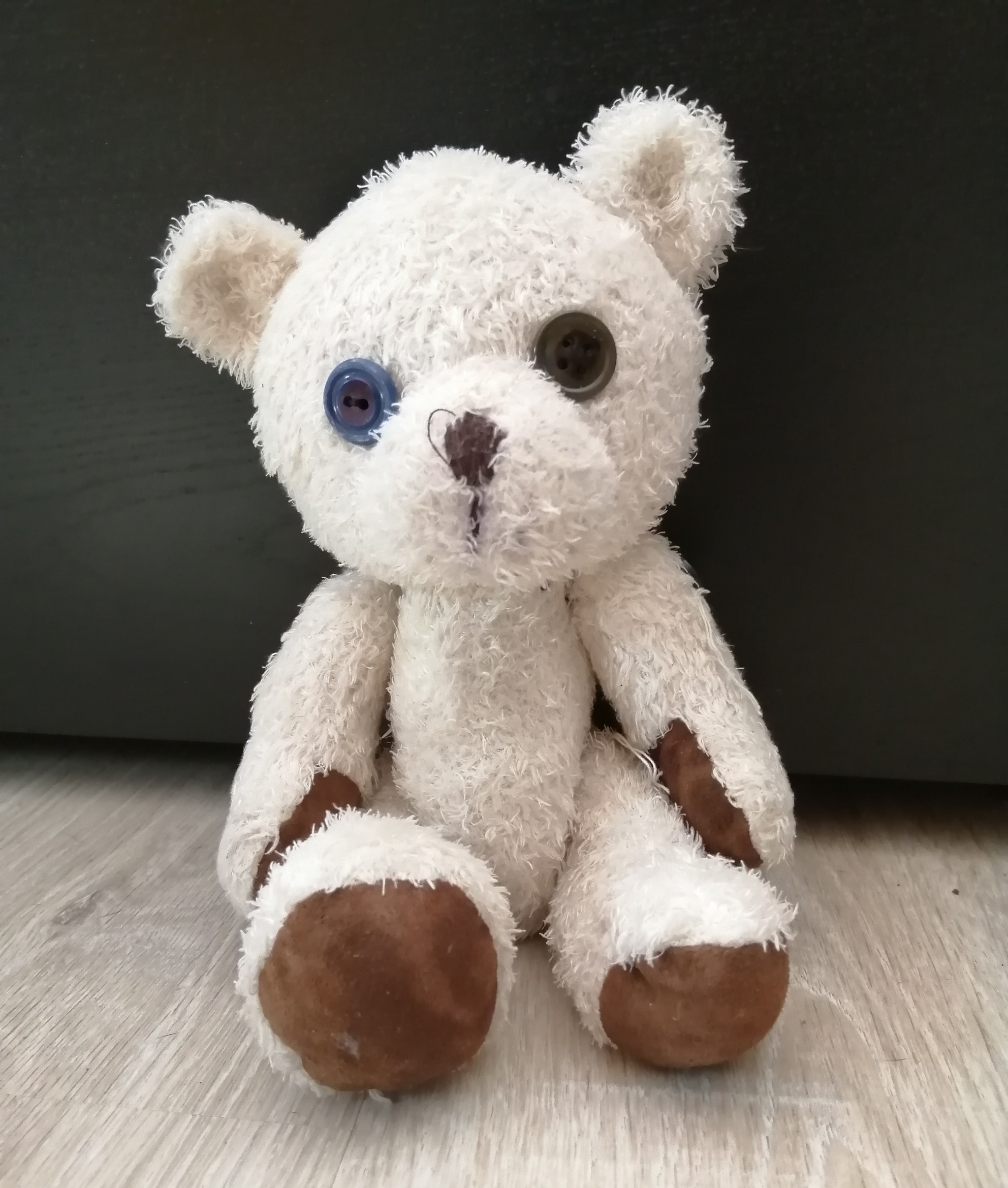 Meet Akaki - My, Soft toy, The Bears, Kripota, Longpost