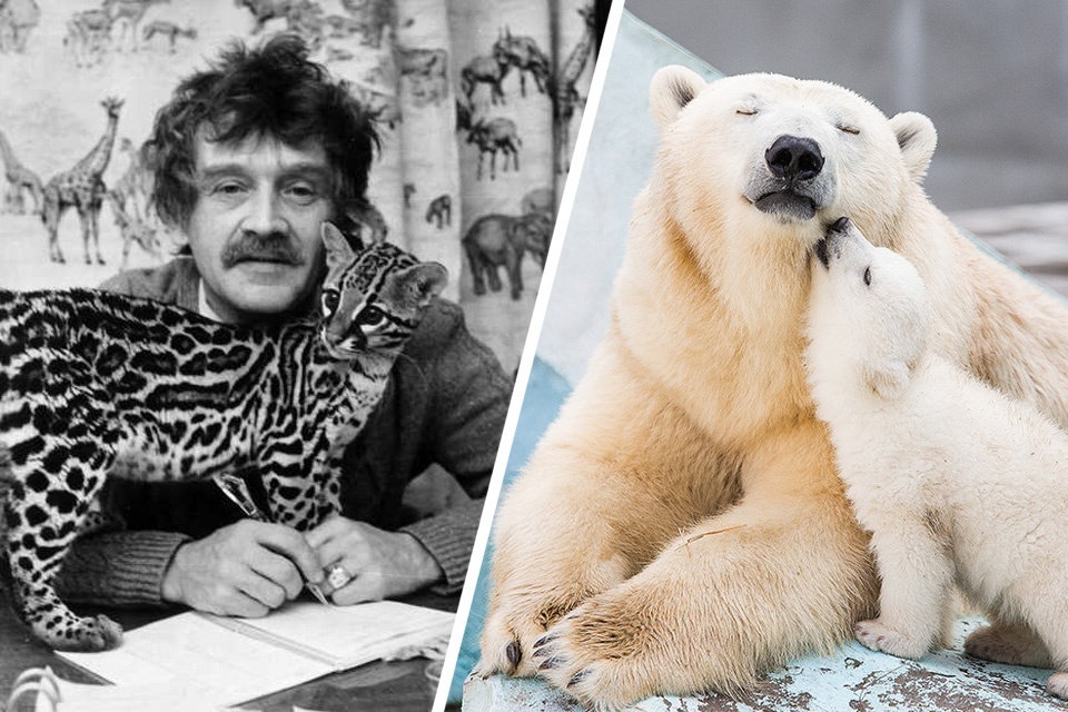 Kingdom named after Shilo: how a small animal base on Gogol became the best zoo in the country (archive photos) - Novosibirsk Zoo, Animals, Novosibirsk, Video, Longpost