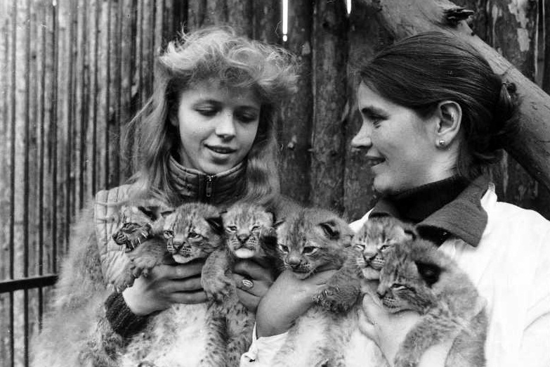 Kingdom named after Shilo: how a small animal base on Gogol became the best zoo in the country (archive photos) - Novosibirsk Zoo, Animals, Novosibirsk, Video, Longpost