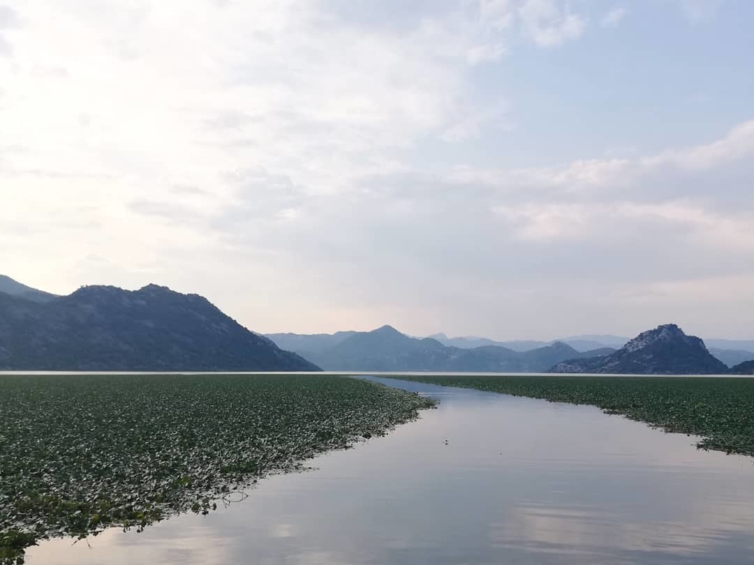 Montenegro, Skadar Lake - My, Montenegro, Nature, Lake