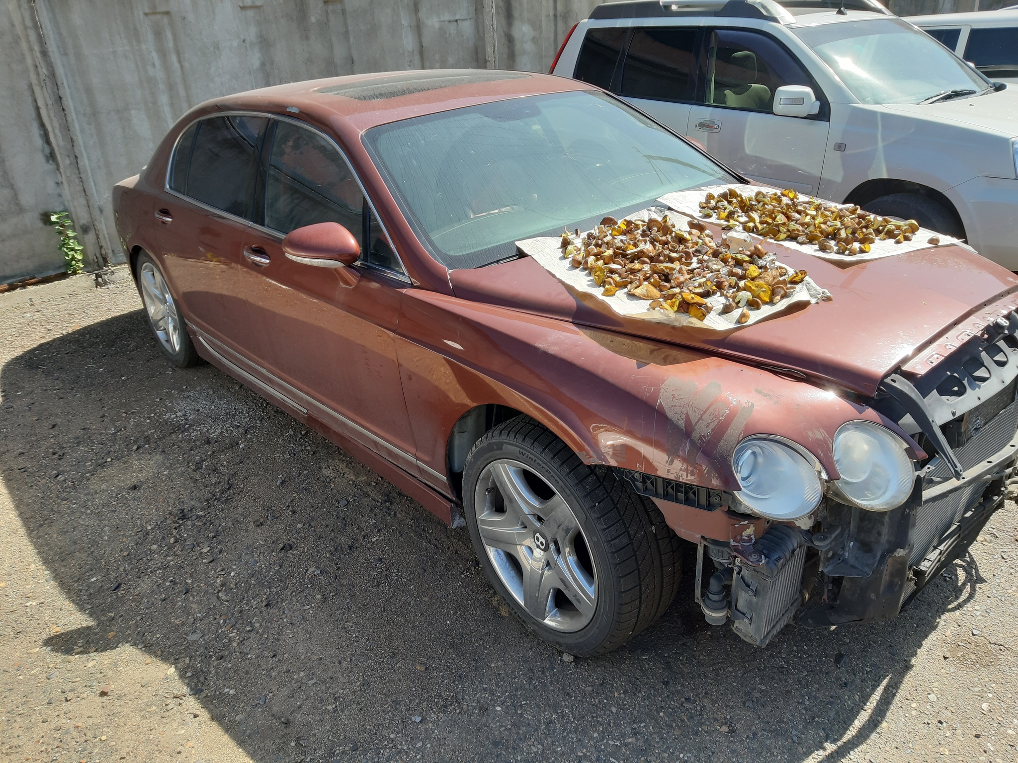 Нелегко аристократам живётся в Забайкалье - Моё, Бентли, Bentley Flying Spur, Маслята