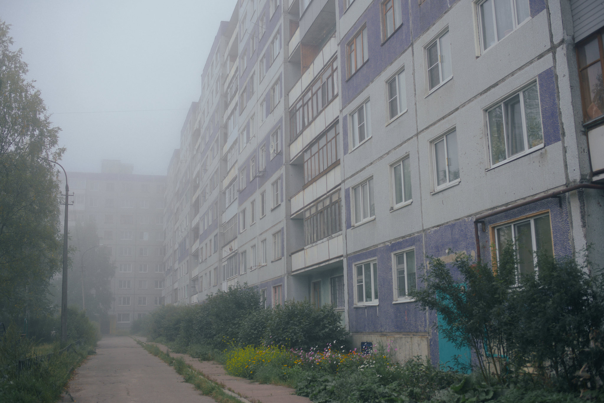 Knowledge Day... - My, Arkhangelsk, Fog, Silent, Silent Hill, The photo, Nine-storey building, , Longpost