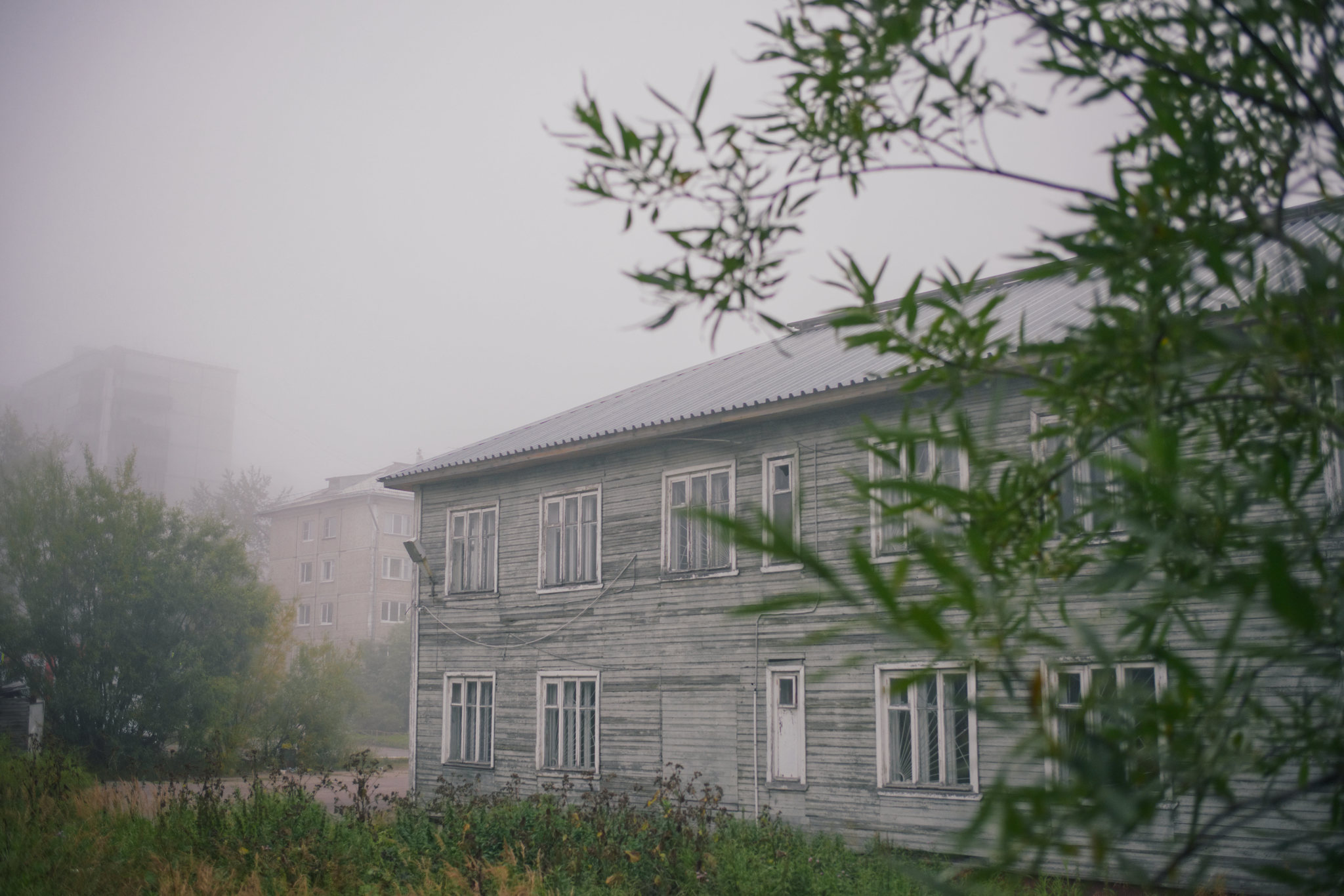 Knowledge Day... - My, Arkhangelsk, Fog, Silent, Silent Hill, The photo, Nine-storey building, , Longpost