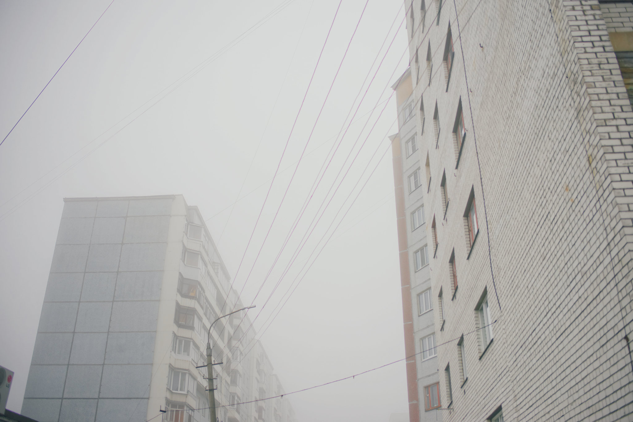 Knowledge Day... - My, Arkhangelsk, Fog, Silent, Silent Hill, The photo, Nine-storey building, , Longpost